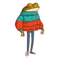 An Urban Guy, isolated vector illustration. A tranquil frog in a down jacket