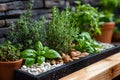Herb Garden in a Black Planter Royalty Free Stock Photo