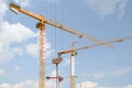 Urban industrial landscape with three tower cranes Royalty Free Stock Photo