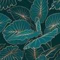 Urban jungle alocasia large green leaves with shiny golden outline. Seamless pattern texture on dark background.