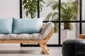 Urban jungle behind black mullions wall in fashionable living room interior with scandinavian sofa Royalty Free Stock Photo