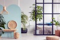 Urban jungle in bright white and blue bedroom interior with partition