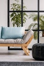 Urban jungle in bright white and blue living room interior with scandinavian futon sofa Royalty Free Stock Photo