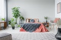 Urban jungle in modern bedroom with king size bed, comfortable grey armchair and patterned carpet Royalty Free Stock Photo