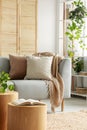 Urban jungle in natural living room with beige pillows on grey couch and open book on wooden table Royalty Free Stock Photo