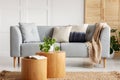 Urban jungle in natural living room with pillows and beige blanket on grey couch and open book and plant in pot on wooden tables Royalty Free Stock Photo