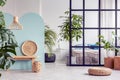 Urban jungle in open plan trendy apartment interior with mullions wall Royalty Free Stock Photo