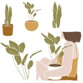 Urban jungle. Set of house plants and beautiful smiling woman . Minimal trendy illustration in flat style. Royalty Free Stock Photo
