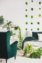 Urban jungle in trendy bedroom interior with white bedding and green pillows and blanket Royalty Free Stock Photo