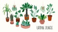 Urban Jungle. Vector illustration with trendy houseplants.