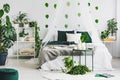 Urban jungle in white bedroom interior with green leafs on empty wall Royalty Free Stock Photo