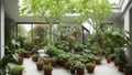 Urban jungle. Winter garden with plants, flowers. Garden in the house