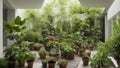 Urban jungle. Winter garden with plants, flowers. Garden in the house