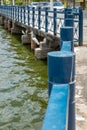 Urban lagoon in the interior of Brazil on a sunny day with aquatic birds