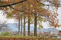 Urban landscape in autumn