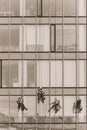 Urban landscape, in black-and-white color - a team of window washers during work at height