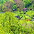 Country houses in the Village of Capalna Romania Royalty Free Stock Photo