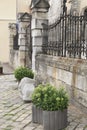 Urban landscape with old fence