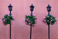 Urban landscape with pink walls , flowers and stylish lanterns