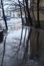 Urban landscape, reflections of tree trunks on wet asphalt Royalty Free Stock Photo