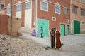 Urban life, shops and workshops, markets and common life in the streets of Morocco. People walking around