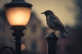 Urban majestic bird in night darkness. Generate ai