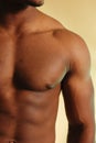 Urban male torso 3 Royalty Free Stock Photo