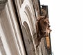 Beautiful decoration of the gate in old palace. Horses heads. Urban motif. Architectural detail, decor