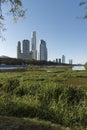 Urban nature, Puerto Madero buildings and the Costanera Sur ecological reserve Royalty Free Stock Photo