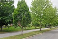 Urban Neighborhood Median Strip