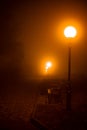 Urban night landscape: in the autumn fog lights of lanterns, dark branches, trees, benches, silhouettes of people... Yellow foggy Royalty Free Stock Photo