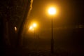 Urban night landscape: in the autumn fog lights of lanterns, dark branches, trees, benches, silhouettes of people... Yellow foggy Royalty Free Stock Photo