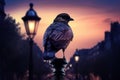 Urban nocturnal majestic bird on illuminated street. Generate ai