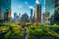 Urban oasis: eco-friendly rooftop garden on earth day