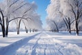 Urban park landscape snow laden trees provide text friendly background space