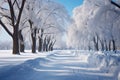 Urban park landscape snow laden trees provide text friendly background space