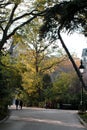 Pedestrians walking on city pathway in park in sunny fall Royalty Free Stock Photo