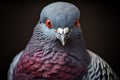 Urban Pigeon bird. Generate Ai