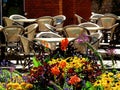 Urban public garden detail with colorful summer colors and restaurant patio in the background Royalty Free Stock Photo