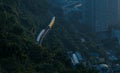 Trains in motion. Urban rail transit on a hillside. This is in Chongqing, China. Royalty Free Stock Photo