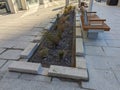 Urban Rain Garden: Sustainable Drainage System in City