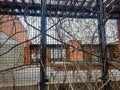 urban rooftop garden in February