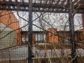 urban rooftop garden in February