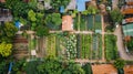 Urban rooftop garden with flourishing plants and cityscape