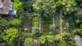 Urban rooftop garden with flourishing plants and cityscape