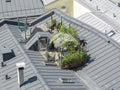 Urban rooftop garden . Green oasis on the top of the roof .