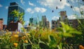 Urban rooftop garden. Modern skyscrapers, view from a terrace