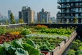 Urban rooftop garden with a view of the cityscape