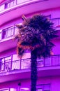 Urban scene with palace and palm tree in pink