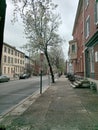 Urban sidewalk in spring
